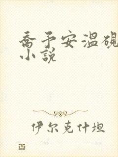 乔予安温砚深的小说封面