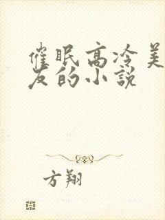 催眠高冷美人室友的小说封面