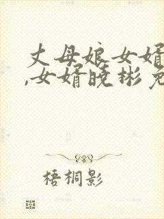 丈母娘女婿小说,女婿晓彬免费阅读