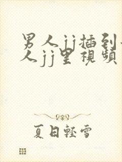 男人jj插到女人jj里视频