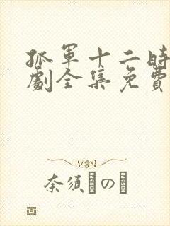 孤军十二时电视剧全集免费播放高清封面