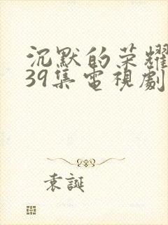 沉默的荣耀1—39集电视剧免费播放