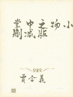 掌中之物小说无删减版封面