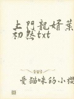 上门龙婿叶辰萧初然txt