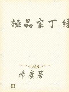 极品家丁 绿帽