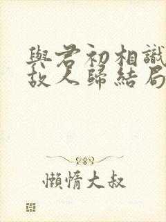 与君初相识恰似故人归结局封面