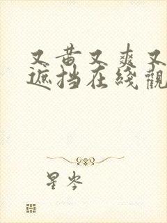 又黄又爽又粗无遮挡在线观看