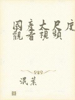 国产大尺度在线观看视频