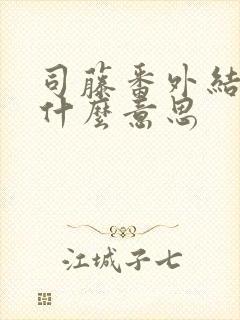 司藤番外结局是什么意思