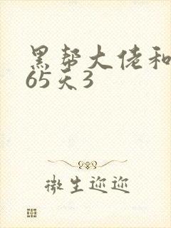 黑帮大佬和我365天3