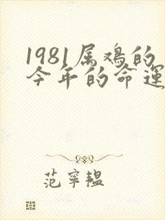 1981属鸡的今年的命运怎么样