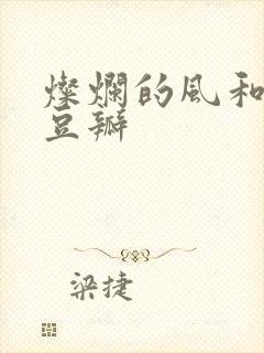 灿烂的风和海 豆瓣