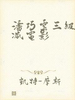 潘巧云三级无删减电影