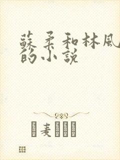 苏柔和林风赵刚的小说封面