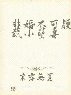 非婚不可腹黑总裁小萌妻