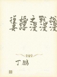 复婚之战总裁追妻路漫漫漫画免费观看封面