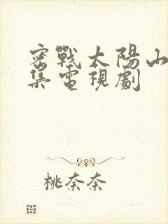 密战太阳山32集电视剧