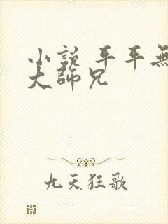 小说 平平无奇大师兄