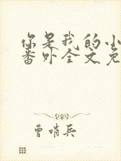 你是我的小确幸番外全文免费阅读封面