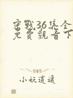 密战36集全集免费观看下载封面