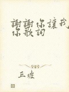 谢谢你让我遇到你歌词