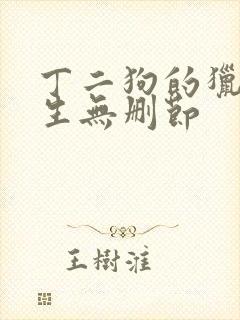 丁二狗的猎艳人生无删节封面