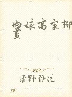 肉嫁高家柳家动画