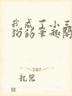 我成了小三的母狗的笔趣阁小说