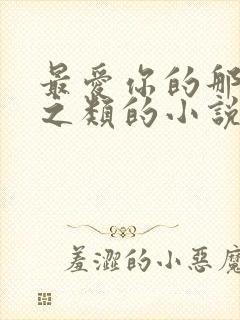 最爱你的那十年之类的小说封面