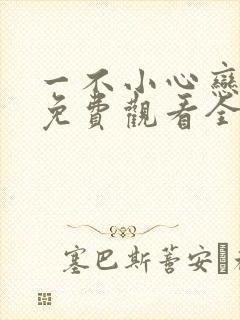 一不小心恋爱了免费观看全集封面