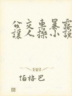 公交车暴露娇妻让人搡小说封面