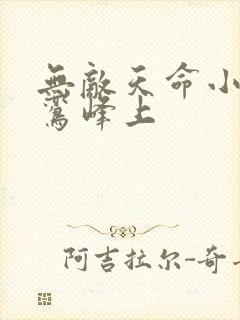 无敌天命小说青鸾峰上