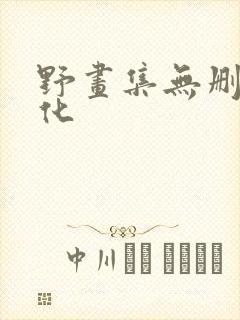 野画集无删减汉化