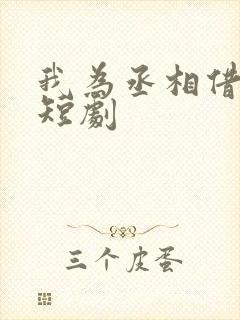 我为丞相借东风短剧封面