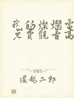 我的灿烂电视剧免费观看高清