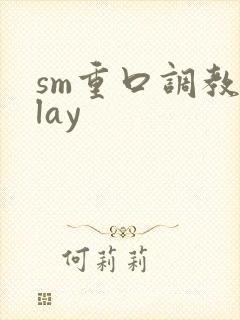 sm重口调教play