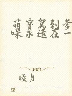 萌宝驾到爹地妈咪永远在一起大结局