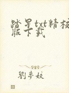 踏星txt精校版下载