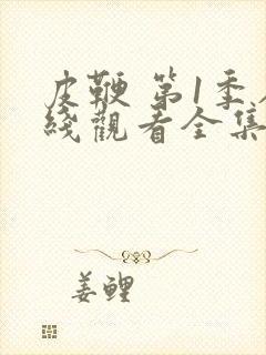 皮鞭 第1季在线观看全集免费播放