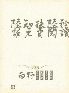 陆知扶陆矜瑶小说免费阅读封面