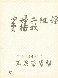 少妇二级淫片免费播放封面