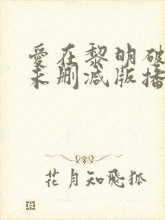 爱在黎明破晓前未删减版播放