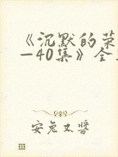 《沉默的荣耀1—40集》全集免费观看