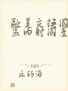 欧美交换国产一区内射国产一区二区女内射
