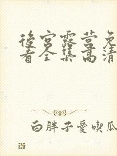 后宫露营免费观看全集高清