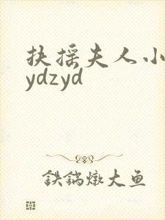 扶摇夫人小说zydzyd