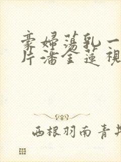 豪妇荡乳一级淫片潘金莲视频封面