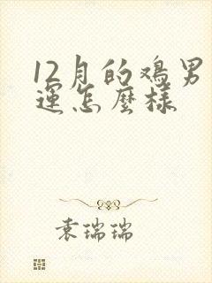 12月的鸡男命运怎么样