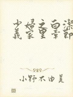 少妇之白洁去高义家里章节