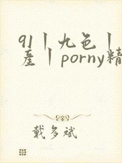 91丨九色丨国产丨porny精品